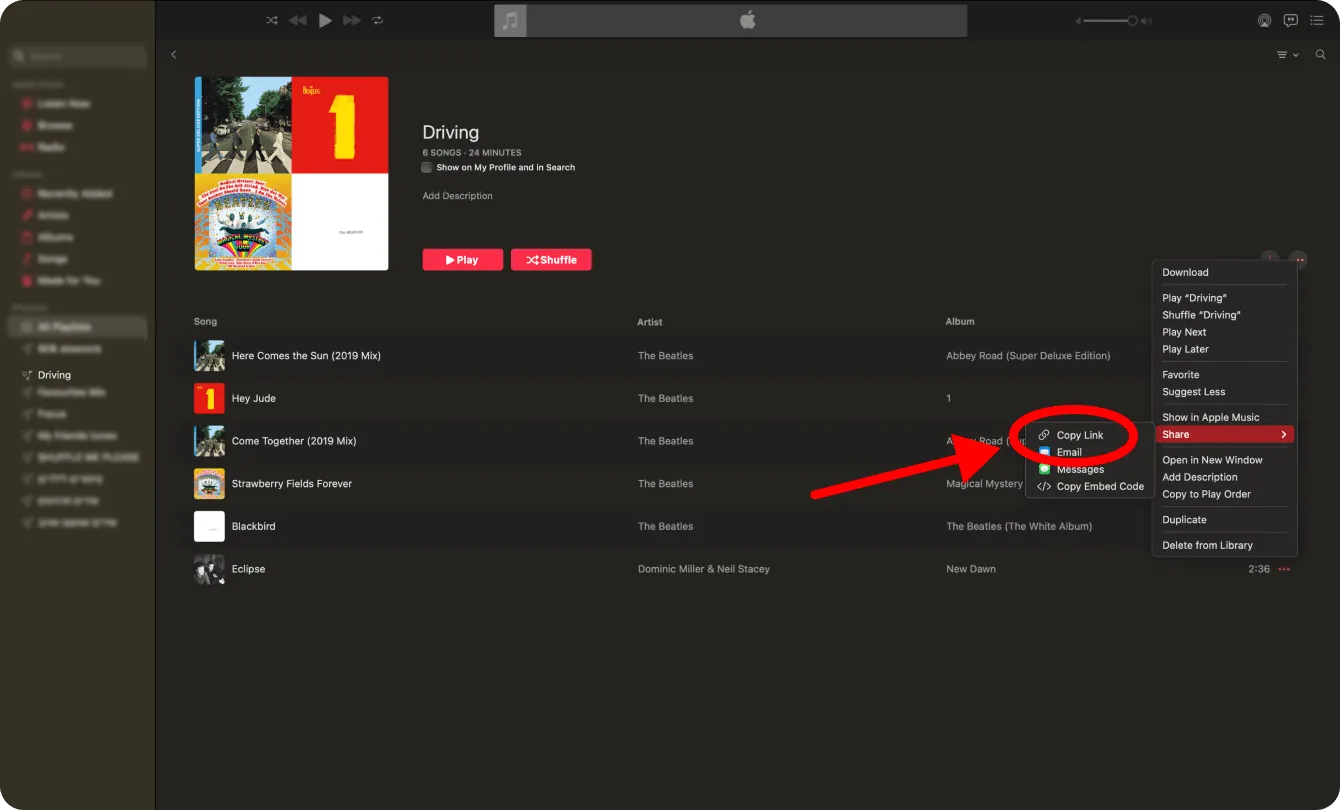 Fare clic sul pulsante "Copia collegamento" per copiare il collegamento alla playlist